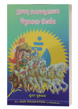 Bhagabatgitara Viswajanina Nirdesha (ଶ୍ରୀମଦ୍‌ଭଗବଦ୍‌ଗୀତାର ବିଶ୍ୱଜନୀନ ନିର୍ଦ୍ଦେଶ)
