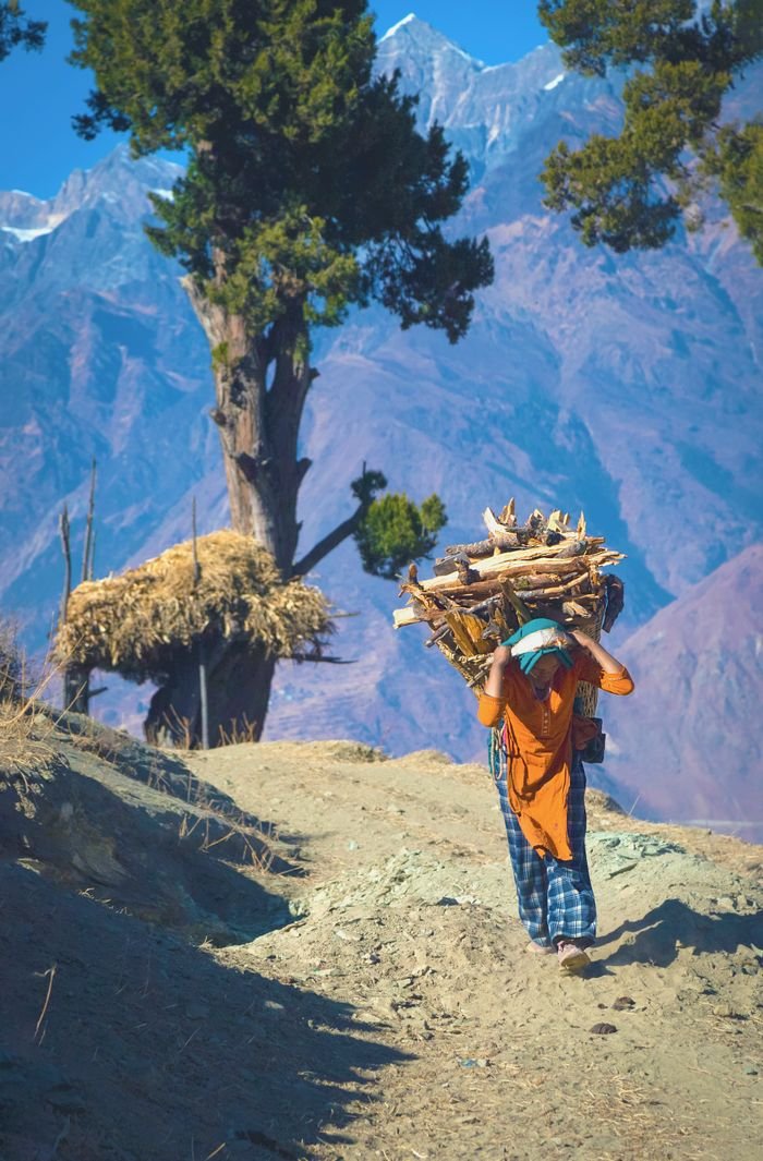 Mastering the First Impression: Your intriguing post title goes here A Sherpa woman carrying firewood on a mountain trail in Karnali Province, Nepal.
