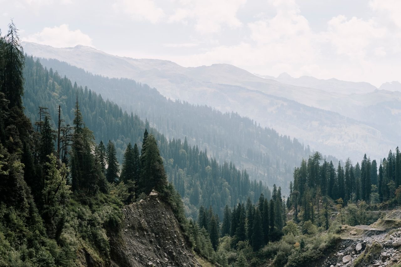 Home Breathtaking view of lush mountains in Himachal Pradesh, showcasing stunning natural beauty.